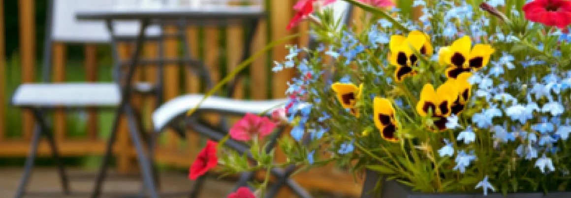 Blumentopf auf einer Terrasse